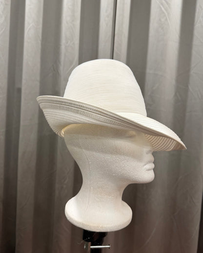 White Wide Brimmed Hat
